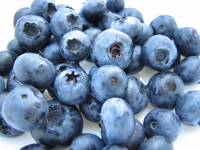 penawar mati pucuk blueberry Small